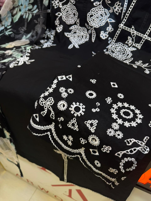 Premium Pakistani Inspired Item